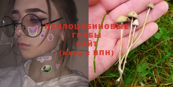 тгк Абинск