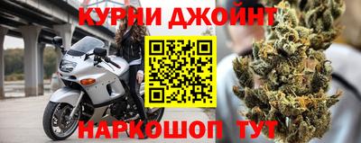 гидра Заводоуковск