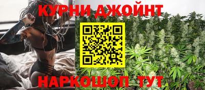 гидра Заводоуковск