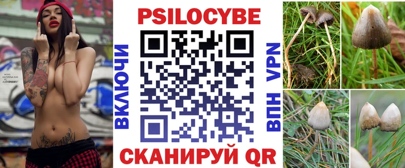 hydra зеркало  Нижнекамск  Псилоцибиновые грибы GOLDEN TEACHER 