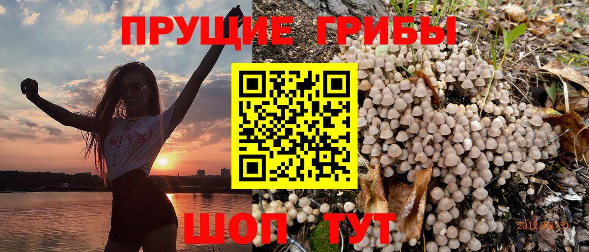 Псилоцибиновые грибы GOLDEN TEACHER Нижнекамск