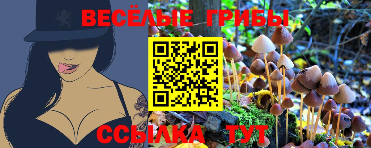Нижнекамск  Галлюциногенные грибы мицелий  где можно купить   Вход с VPN  Галлюциногенные грибы Magic Shrooms 